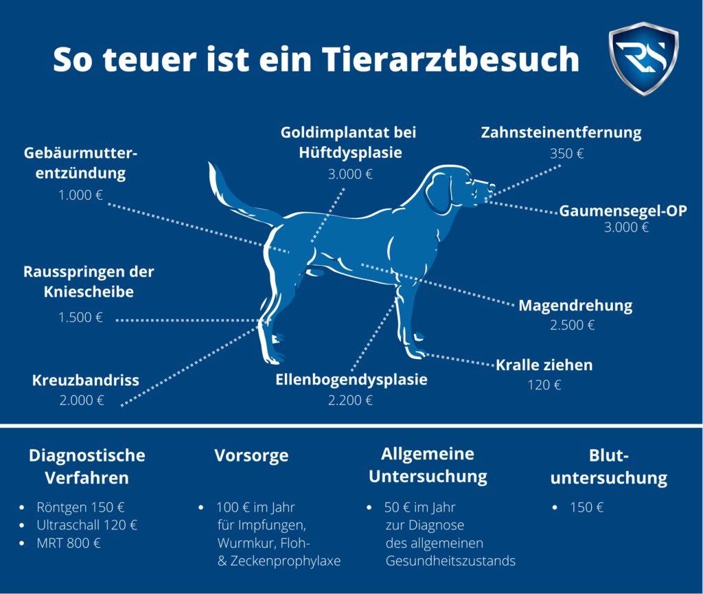 Was versteht man unter einer Hundekrankenversicherung?